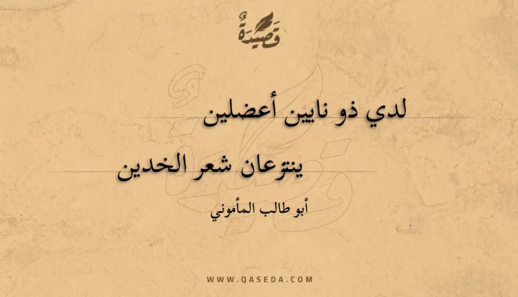 قصيدة لدي ذو نايين أعضلين