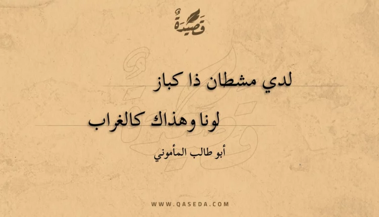 قصيدة لدي مشطان ذا كباز