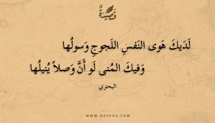 قصيدة لديك هوى النفس اللجوج وسولها
