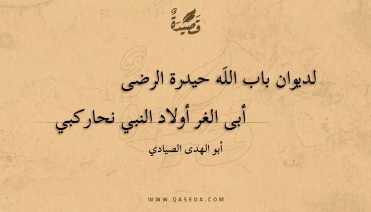 قصيدة لديوان باب الله حيدرة الرضى