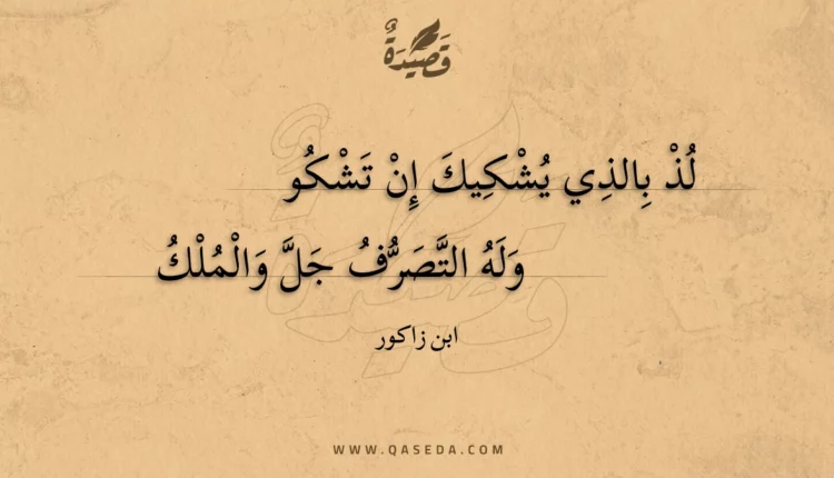 قصيدة لذ بالذي يشكيك إن تشكو