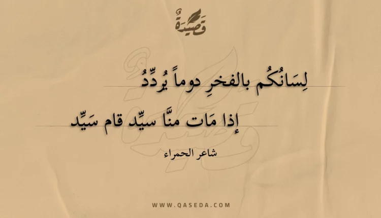 قصيدة لسانكم بالفخر دوما يردد
