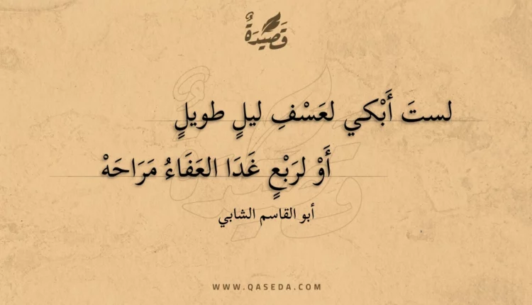 قصيدة لست أبكي لعسف ليل طويل