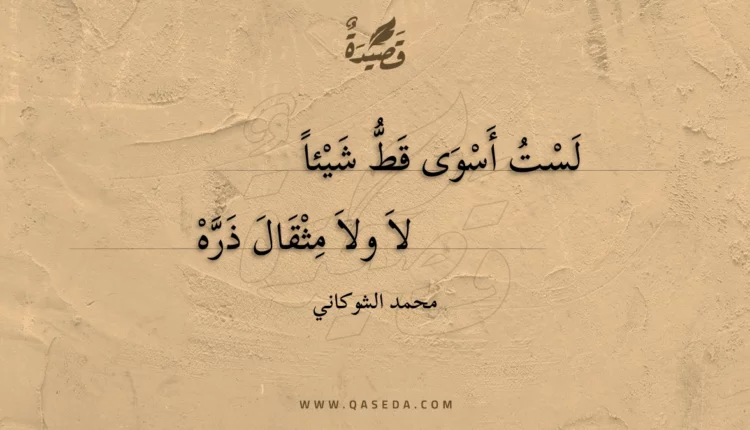 قصيدة لست أسوى قط شيئا