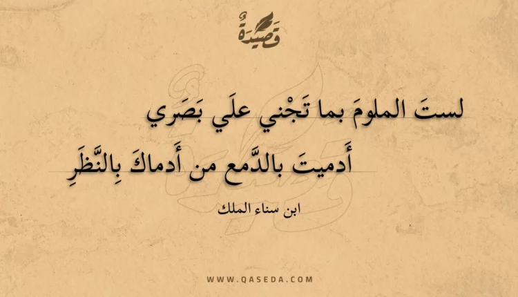 قصيدة لست الملوم بما تجني علي بصري