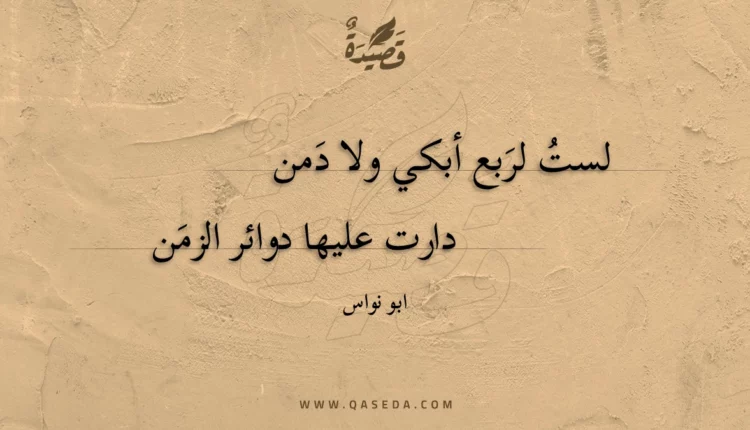 قصيدة لست لربع أبكي ولا دمن