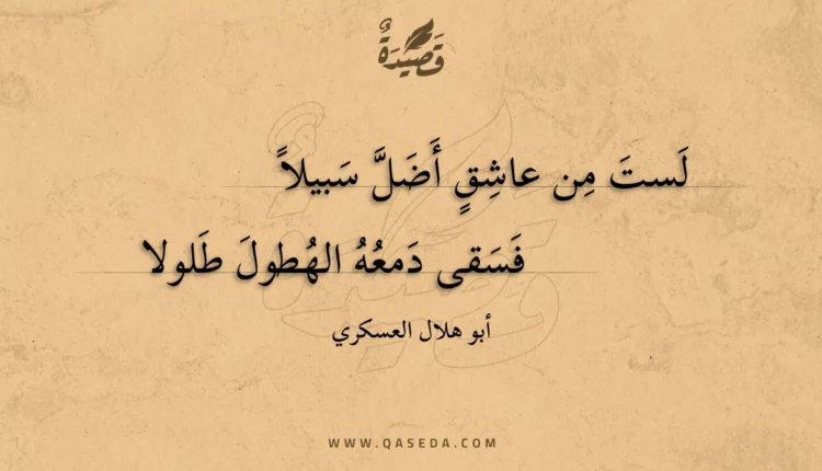 قصيدة لست من عاشق أضل سبيلا