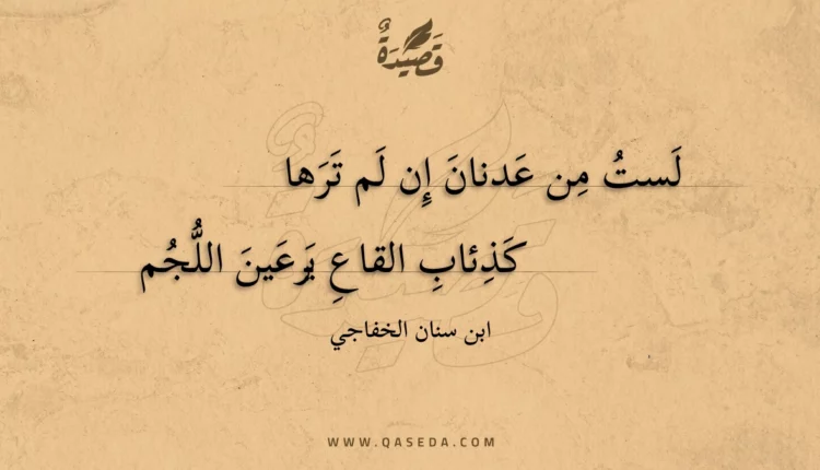 قصيدة لست من عدنان إن لم ترها