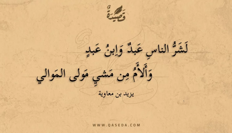 قصيدة لشر الناس عبد وابن عبد