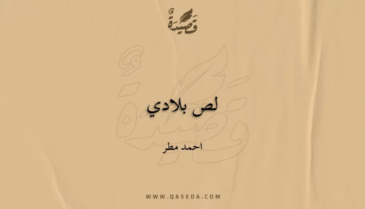 قصيدة لص بلادي