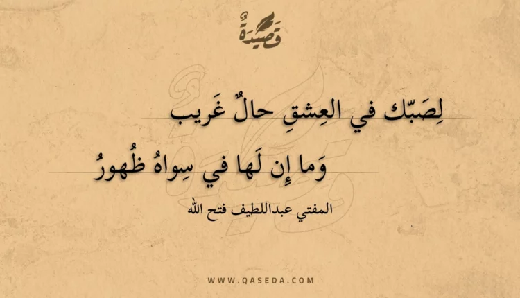 قصيدة لصبك في العشق حال غريب