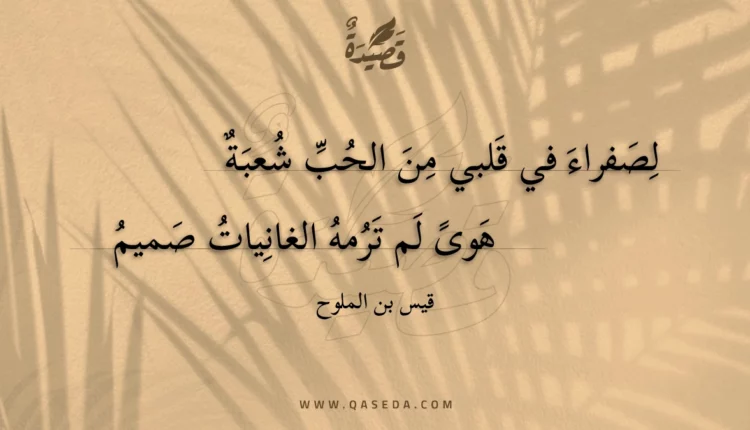 قصيدة لصفراء في قلبي من الحب شعبة