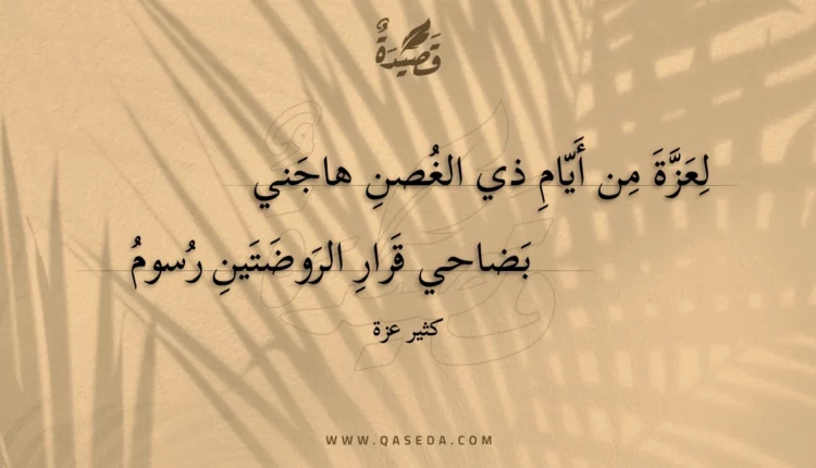 قصيدة لعزة من أيام ذي الغصن هاجني