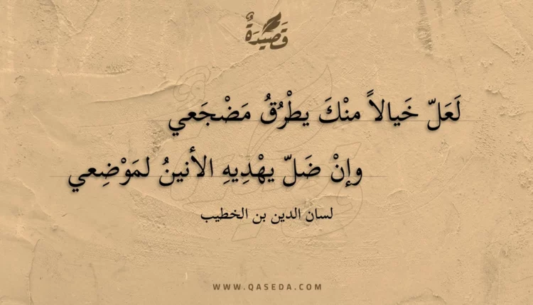 قصيدة لعل خيالا منك يطرق مضجعي