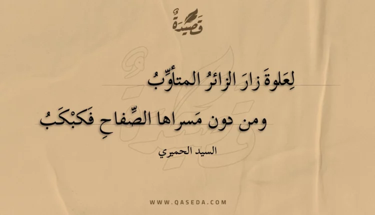 قصيدة لعلوة زار الزائر المتأوب