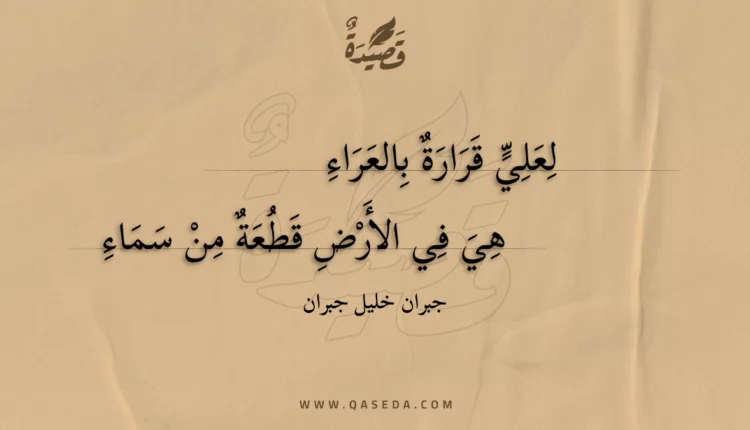 قصيدة لعلي قرارة بالعراء