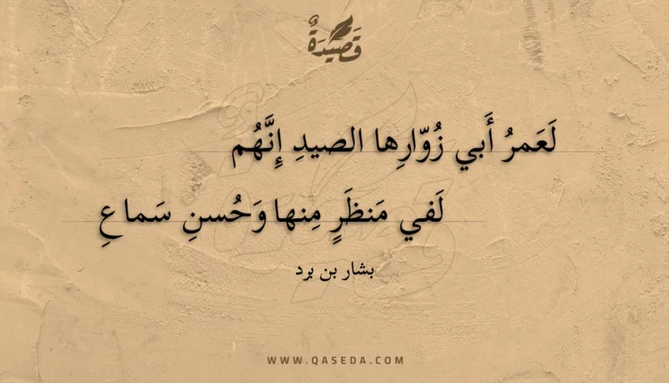 قصيدة لعمر أبي زوارها الصيد إنهم