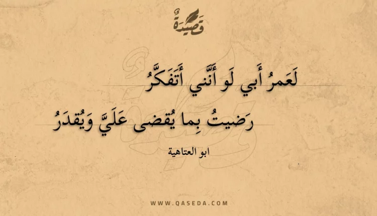 قصيدة لعمر أبي لو أنني أتفكر