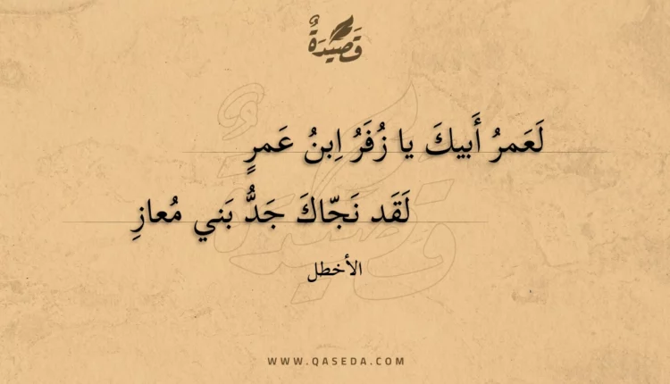 قصيدة لعمر أبيك يا زفر ابن عمر