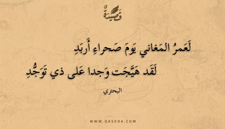 قصيدة لعمر المغاني يوم صحراء أربد