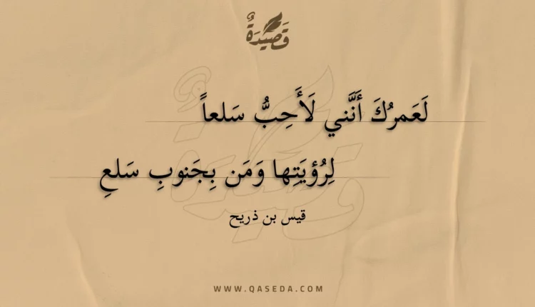 قصيدة لعمرك أنني لأحب سلعا