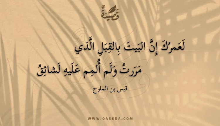 قصيدة لعمرك إن البيت بالقبل الذي