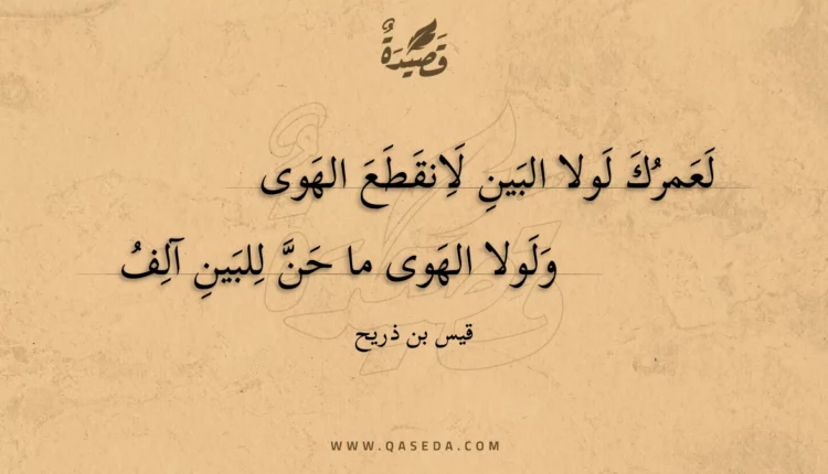 قصيدة لعمرك لولا البين لانقطع الهوى
