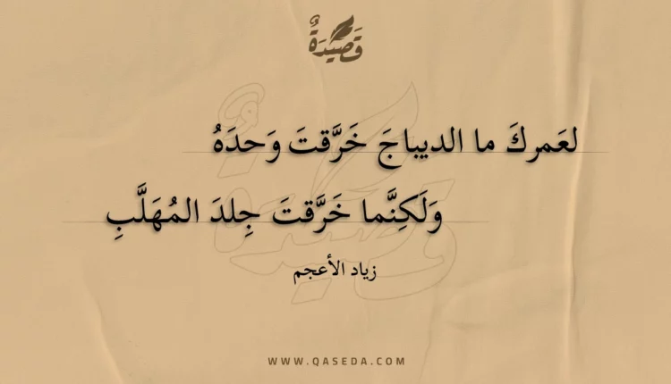 قصيدة لعمرك ما الديباج خرقت وحده