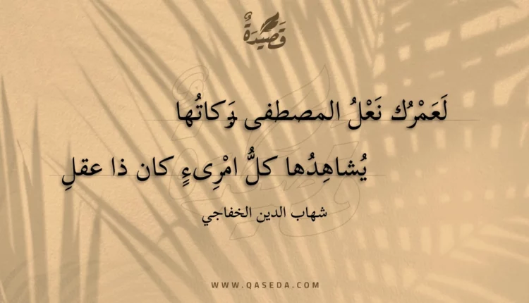 قصيدة لعمرك نعل المصطفى بركاتها