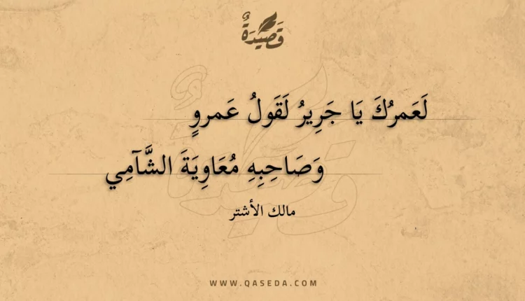 قصيدة لعمرك يا جرير لقول عمرو