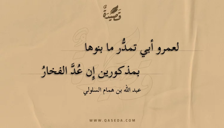 قصيدة لعمرو أبي تمدر ما بنوها