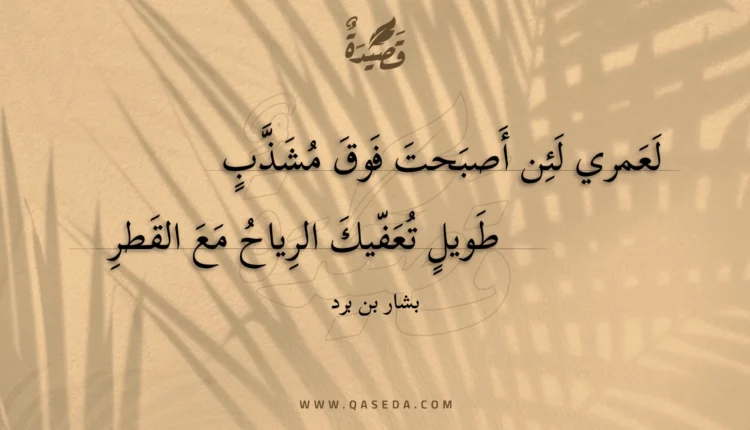 قصيدة لعمري لئن أصبحت فوق مشذب