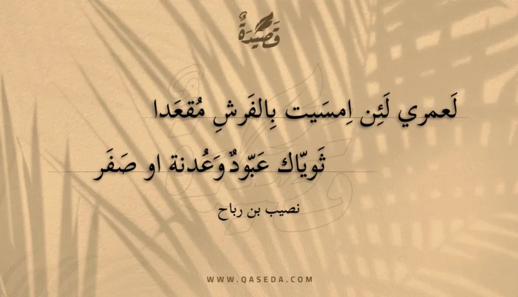 قصيدة لعمري لئن امسيت بالفرش مقعدا