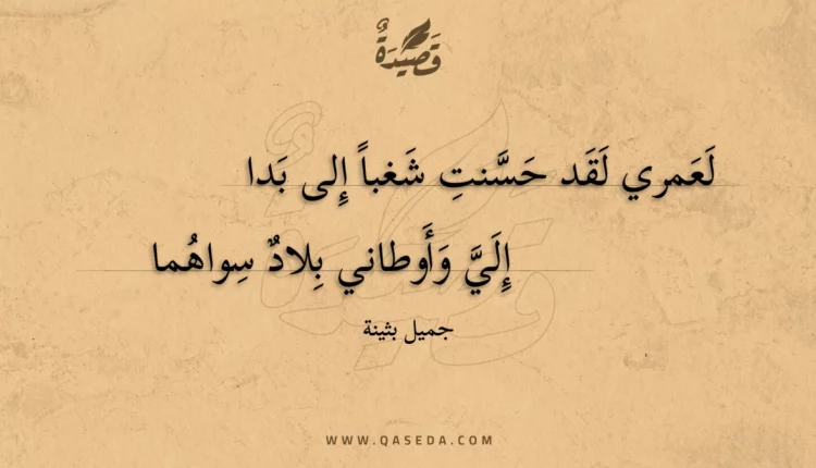 قصيدة لعمري لقد حسنت شغبا إلى بدا