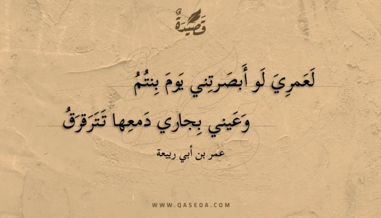 قصيدة لعمري لو أبصرتني يوم بنتم