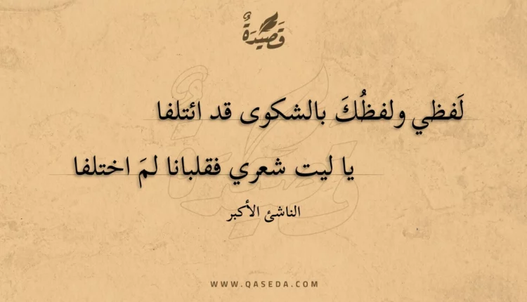 قصيدة لفظي ولفظك بالشكوى قد ائتلفا