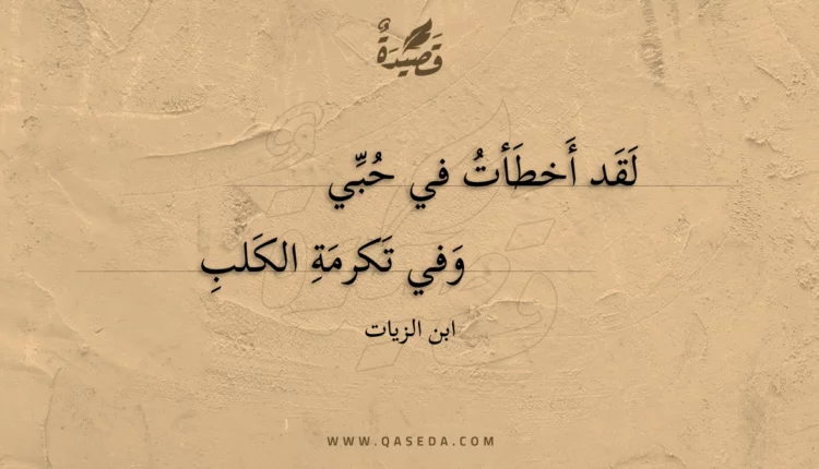 قصيدة لقد أخطأت في حبي