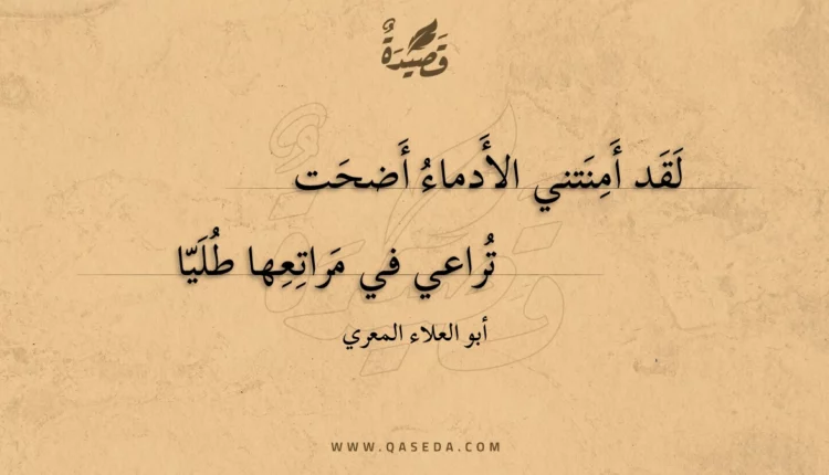 قصيدة لقد أمنتني الأدماء أضحت
