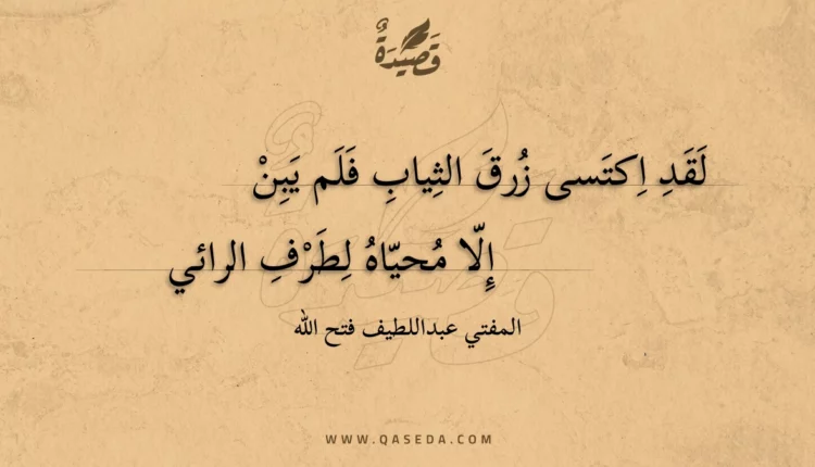 قصيدة لقد اكتسى زرق الثياب فلم يبن