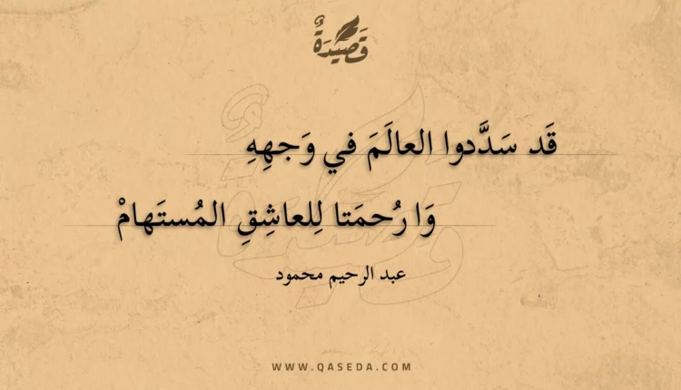 قصيدة لقد تهت