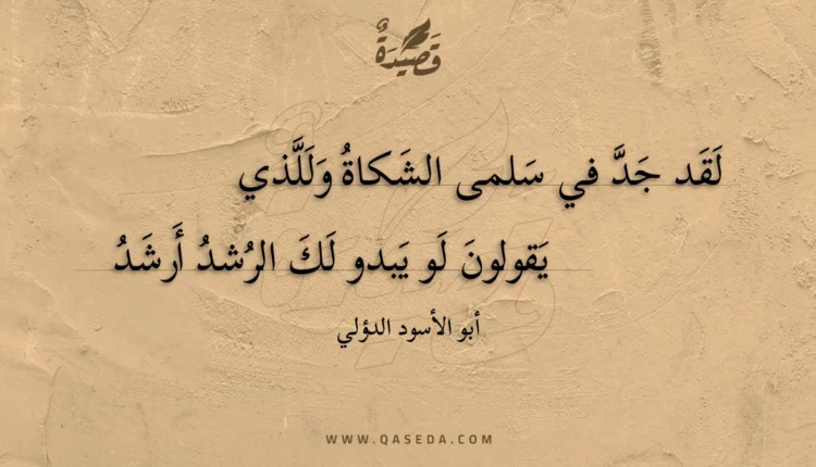 قصيدة لقد جد في سلمى الشكاة وللذي