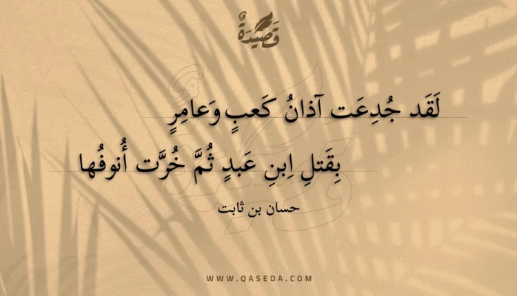 قصيدة لقد جدعت آذان كعب وعامر