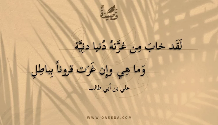 قصيدة لقد خاب من غرته دنيا دنية