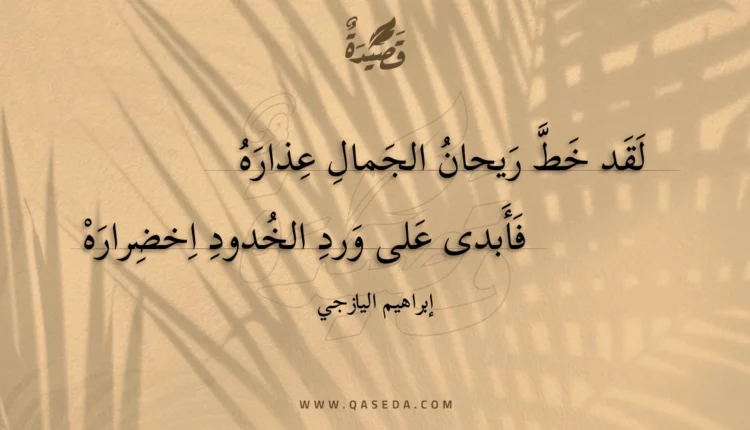 قصيدة لقد خط ريحان الجمال عذاره