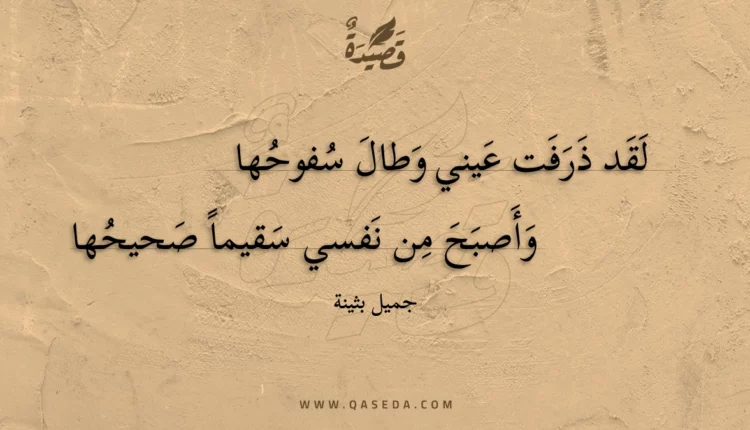 قصيدة لقد ذرفت عيني وطال سفوحها