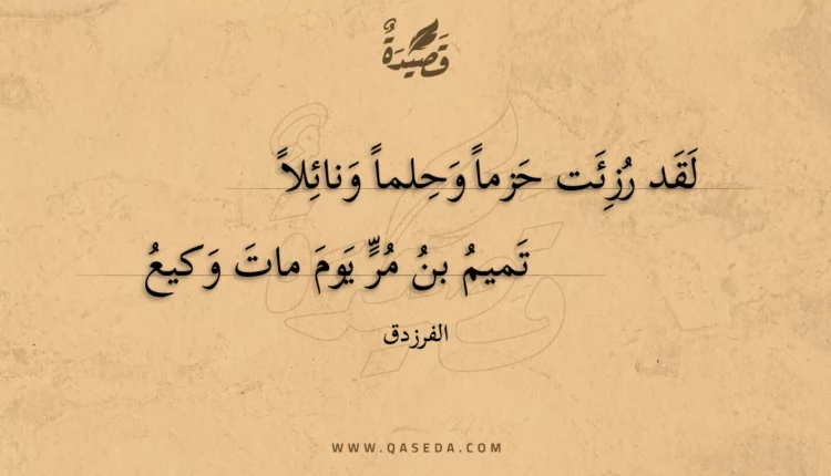 قصيدة لقد رزئت حزما وحلما ونائلا