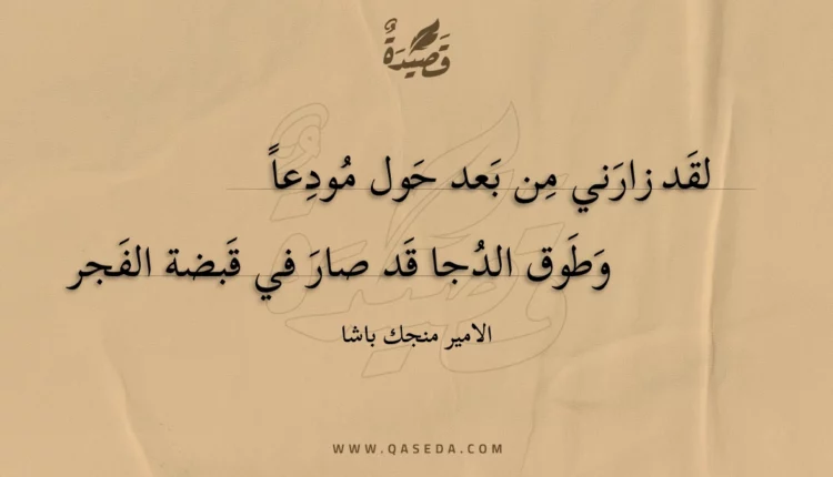 قصيدة لقد زارني من بعد حول مودعا