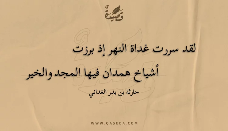 قصيدة لقد سررت غداة النهر إذ برزت