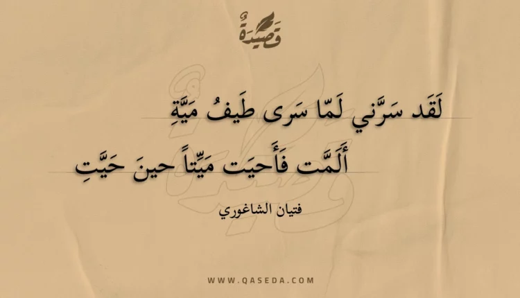 قصيدة لقد سرني لما سرى طيف مية