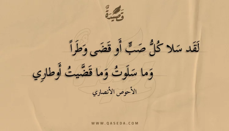 قصيدة لقد سلا كل صب أو قضى وطرا